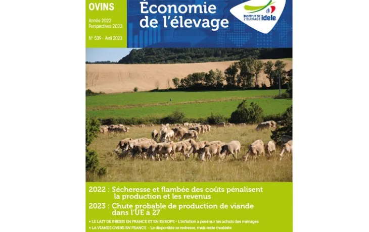 Dossier annuel ovin 2023