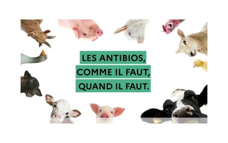 AAP ECOANTIBIO 2023