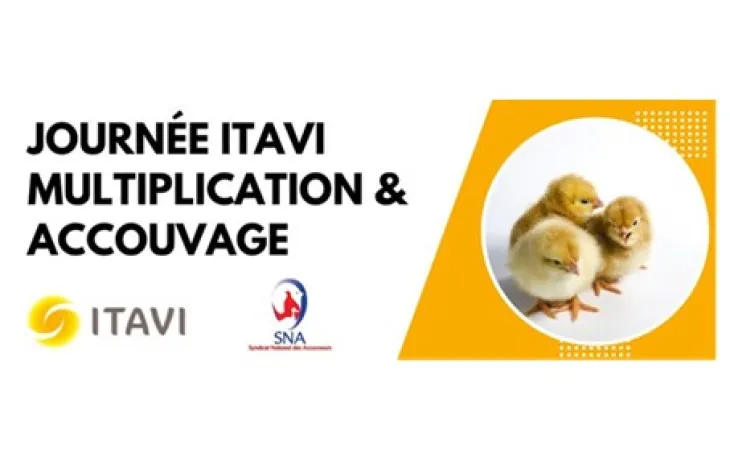 ITAVI journée 2023 accouvage