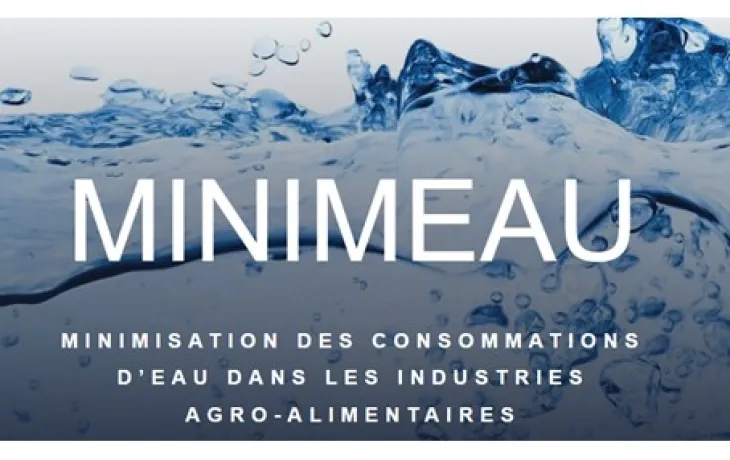 Webi MINIMEAU