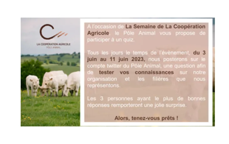 quizz semaine 2023