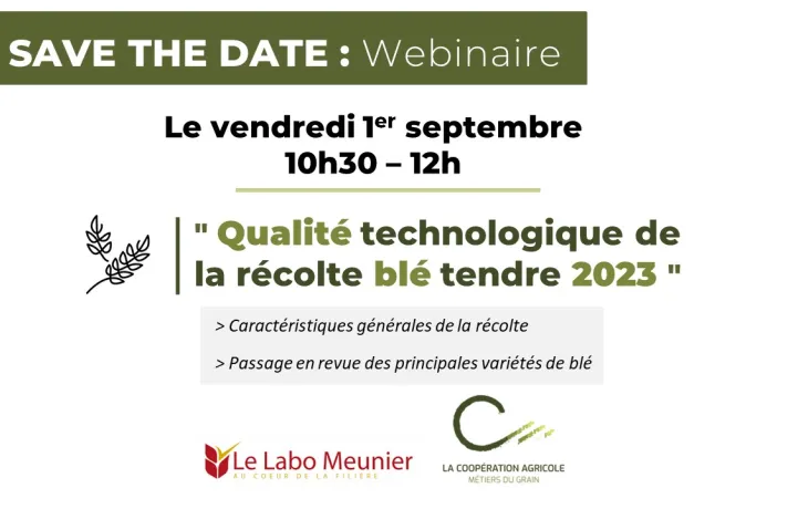 Save the date Webinaire du 1er septembre