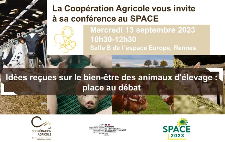 Space Rennes