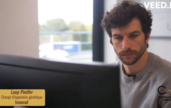Loup Piedfer - Data Analyse Innoval