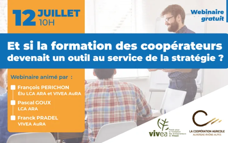 Webinaire 12 juillet LCA ARA