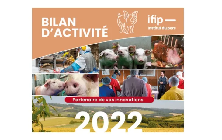 Bilan IFIp 2022