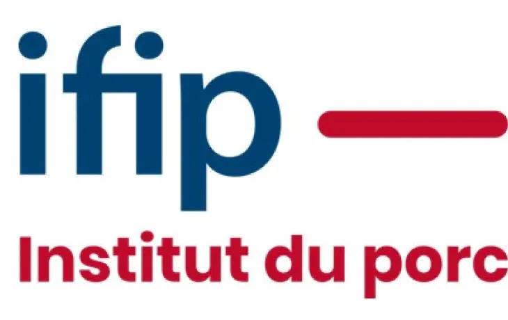 ifip logo