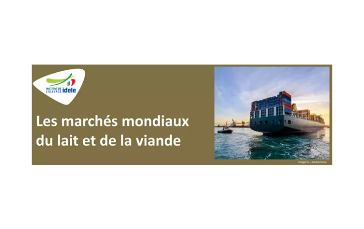 marchés mondiaux viandes idele2023.JPG