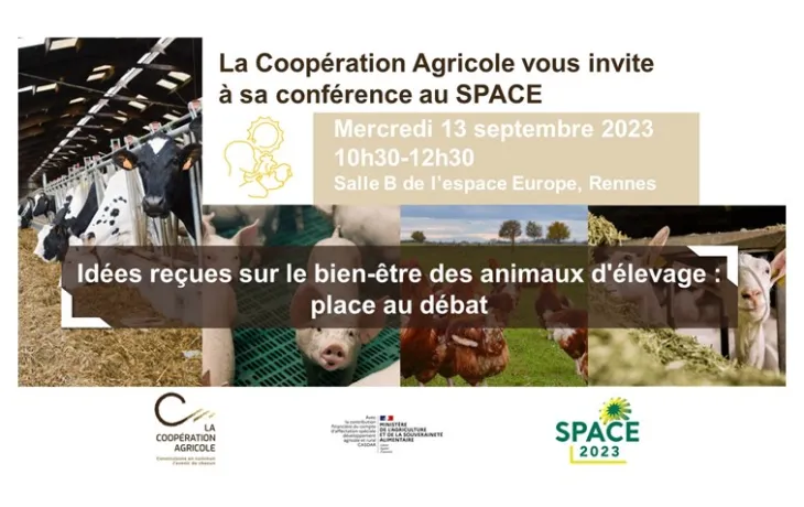 SPACE Rennes 2023