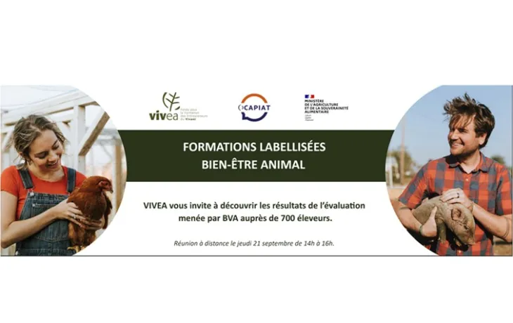 Formation BEA VIVEA