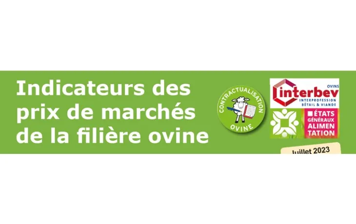 Indicateurs marché ovin juillet 2023
