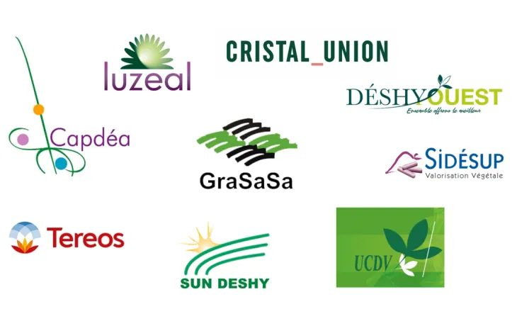 Logos coopératives de Luzerne