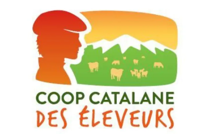 Logo CCE