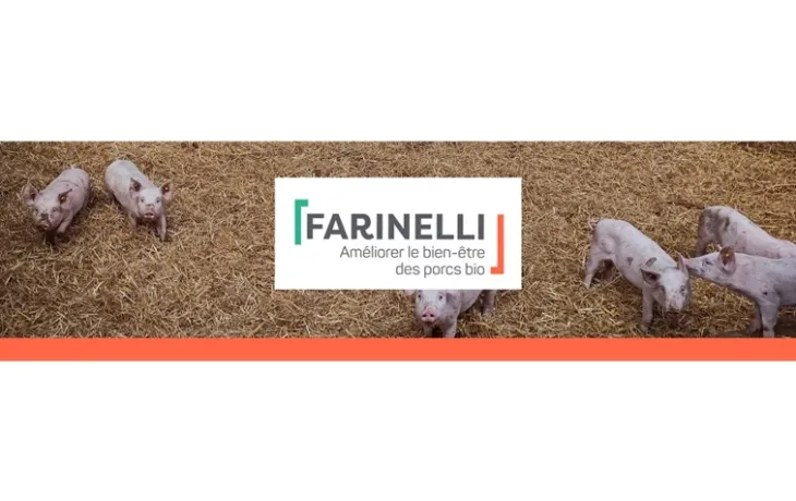 Farinelli