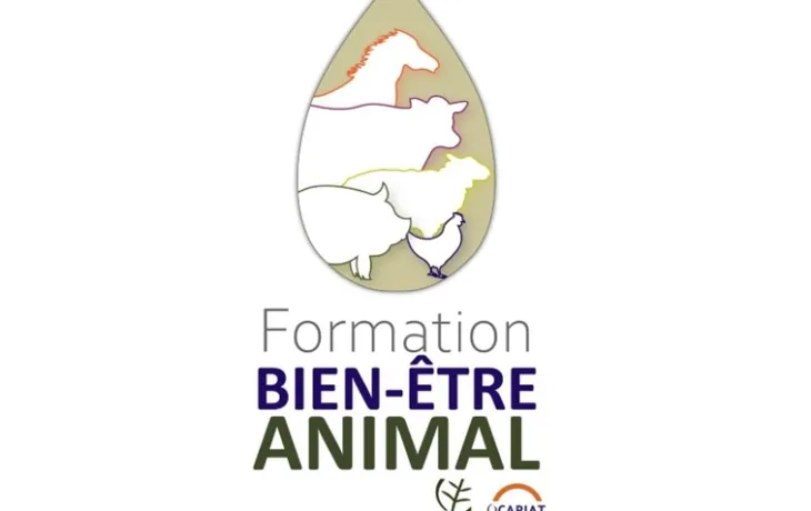 Formation BEA VIVEA OCAPIAT