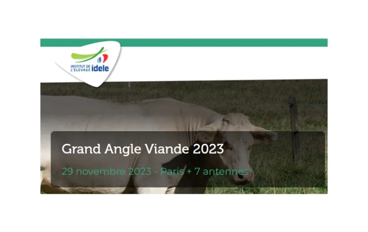 GV 2023