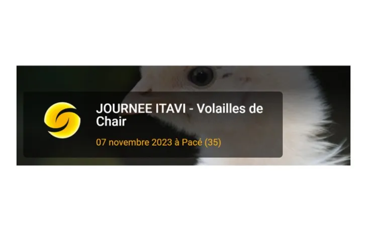 Itavi