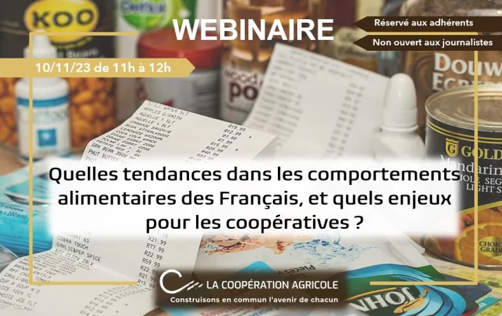 Webinaire tendance consommation français