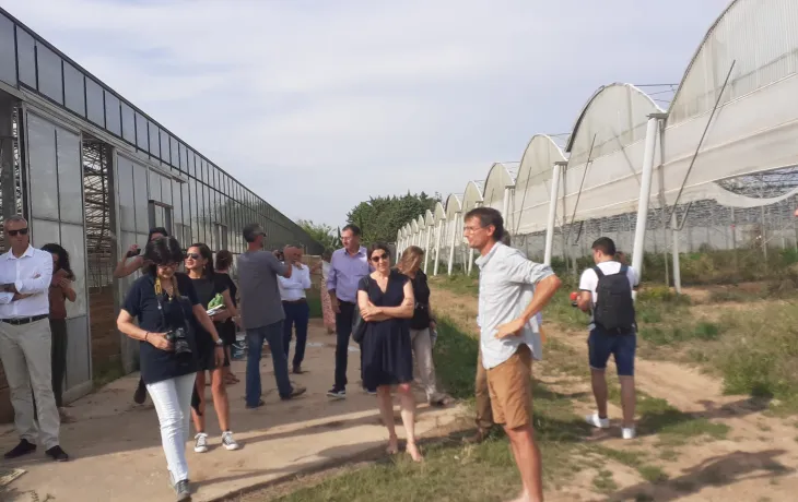 Terre Adonis AG 2023