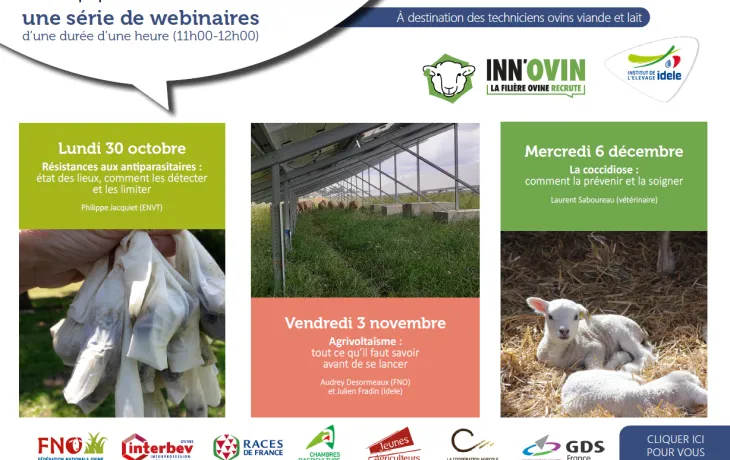 INNOVIN webi 2023