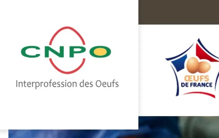 STD CNPO 2023