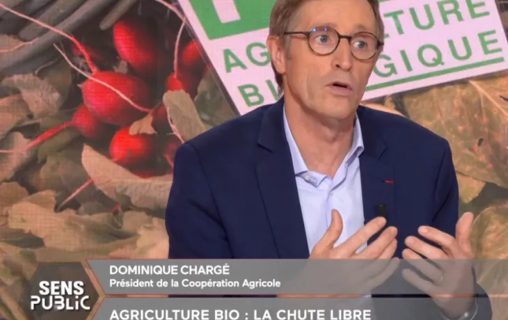 Dominique Chargé - Public Sénat