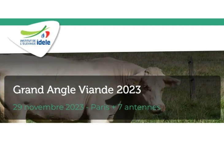 GAV 2023