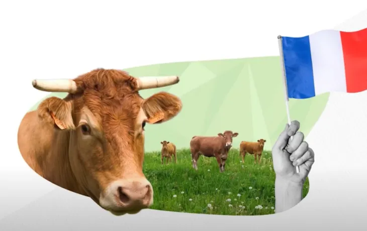 Bien élevée Mag