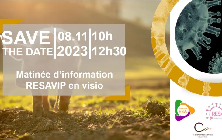 save the date resavip