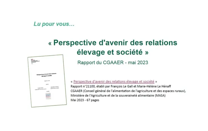 visuel rapport CGAER