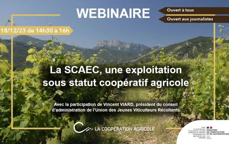 Webinaire DAS - UJVR
