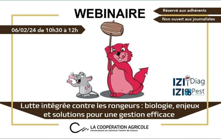 Webinaire - lutte rongeurs
