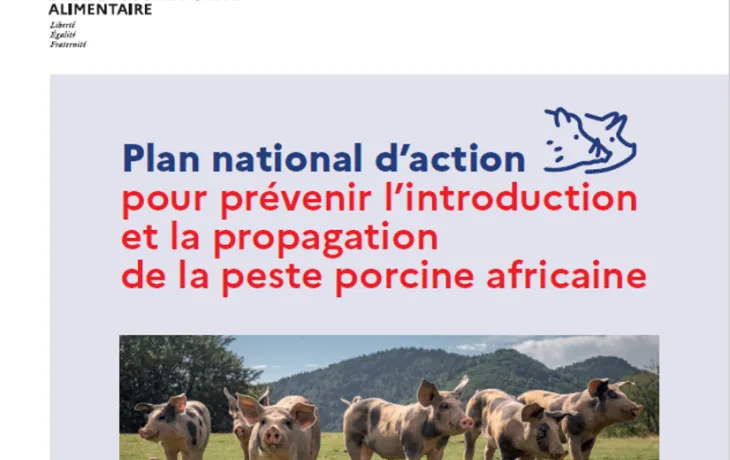 Plan d'action PPA