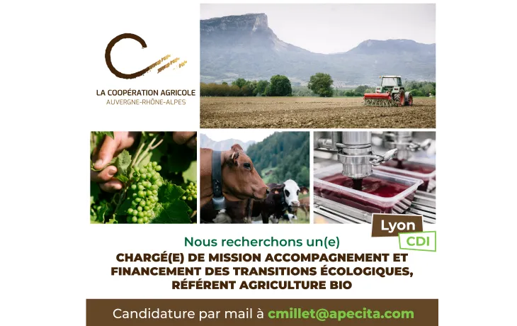 LCA ARA recrute