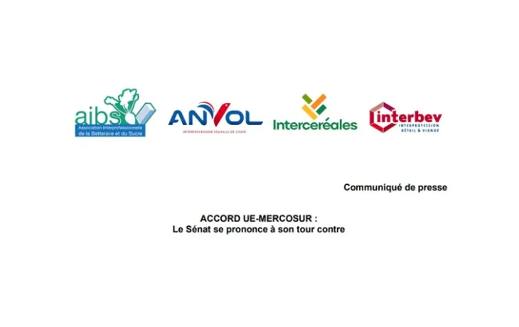 CP mercosur