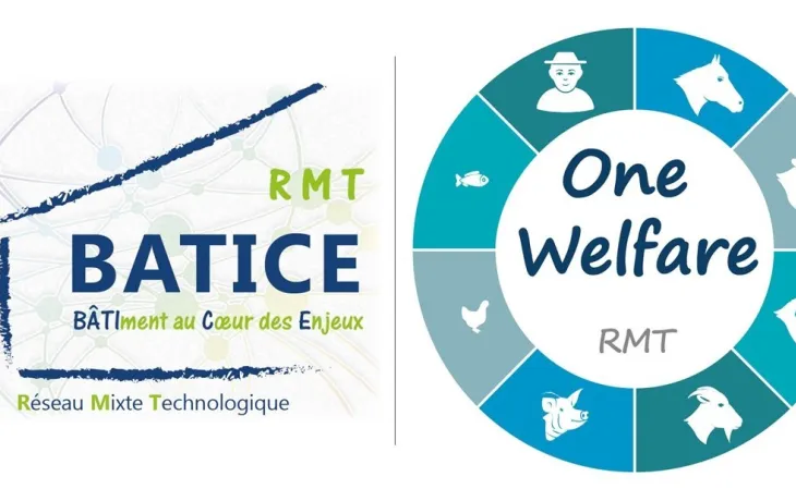 RMT
