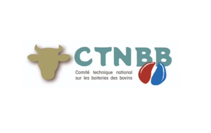 CTNBB