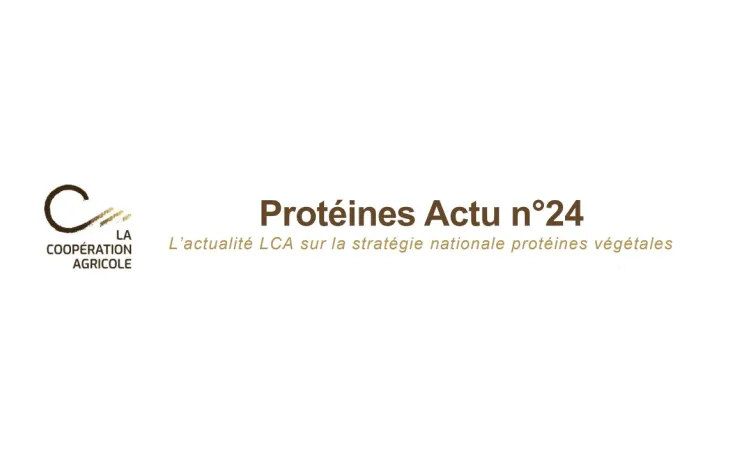 protéine actu 24