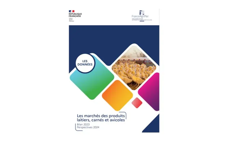 FAM bilan marchés 2023