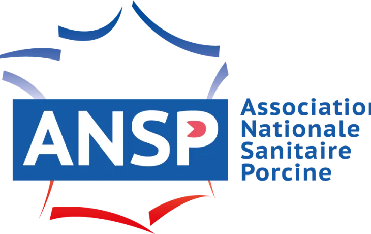 ANSP