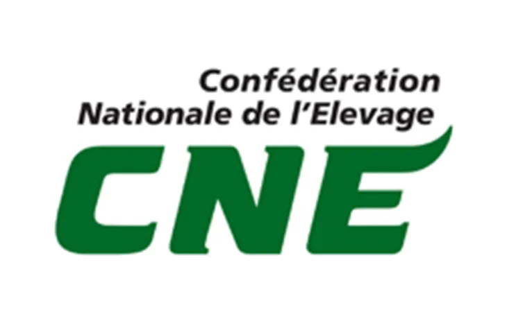 Logo CNE