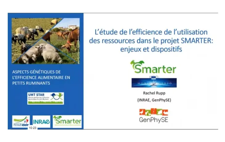 replay webinaire génétique