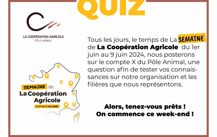 QUIZ PA 2024