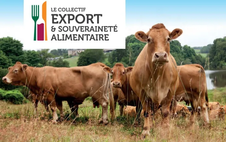 Collectif Export et Souveraineté Alimentaire