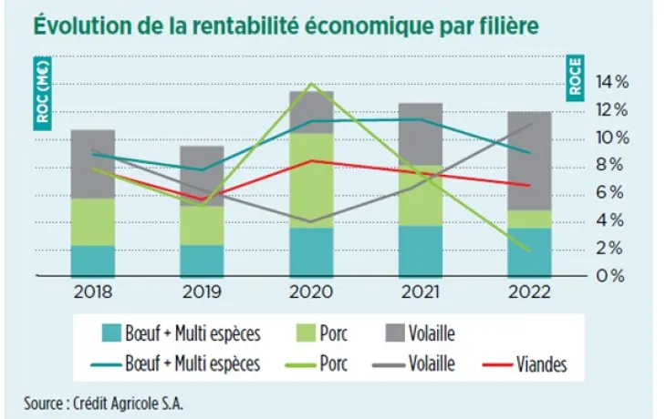Oservatoir Crédit Agricole des entreprises du secteur viande 2024 - rentabilité