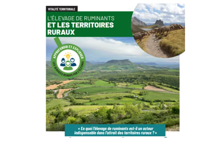 CNE TERRITOIRE