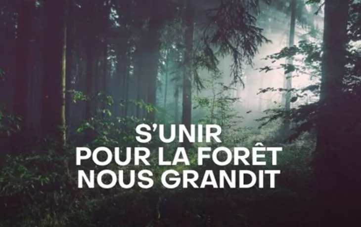 Foret d'Ici