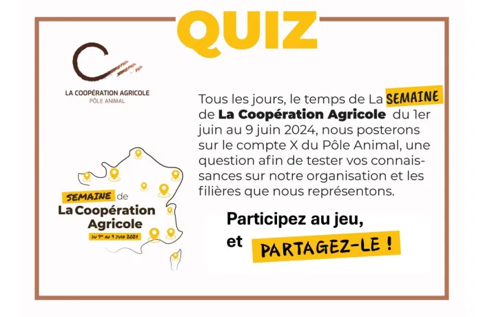 QUIZ PA semaine LCA 24
