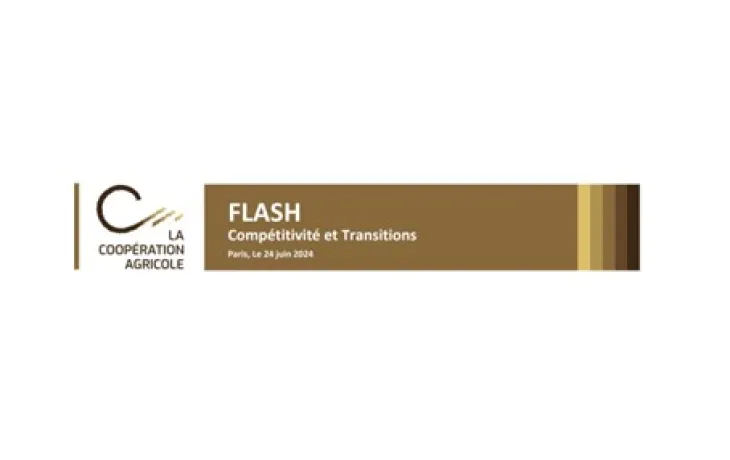 Visuel flash