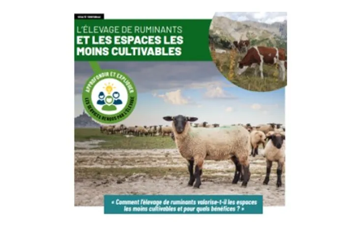 CNE espaces moins cultivables